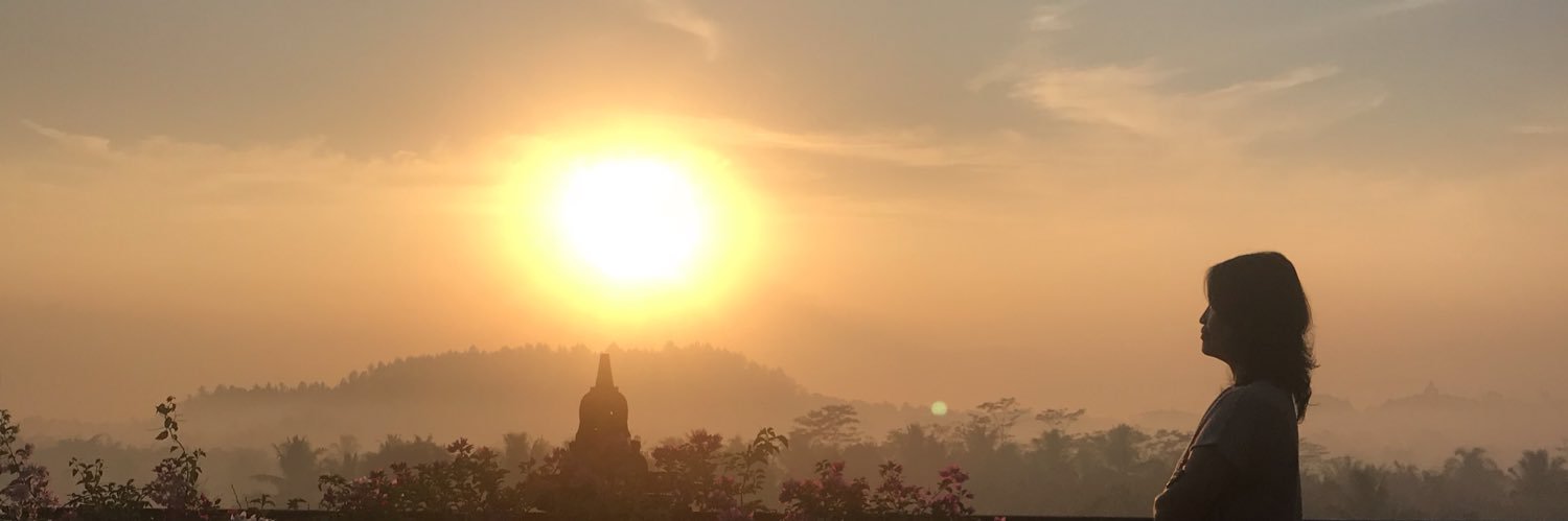 lfiany's profile banner image