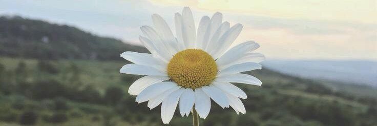 adindapuu's profile banner image