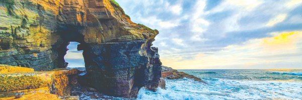 nccourier Profile Banner