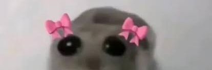angebutprivate's profile banner image