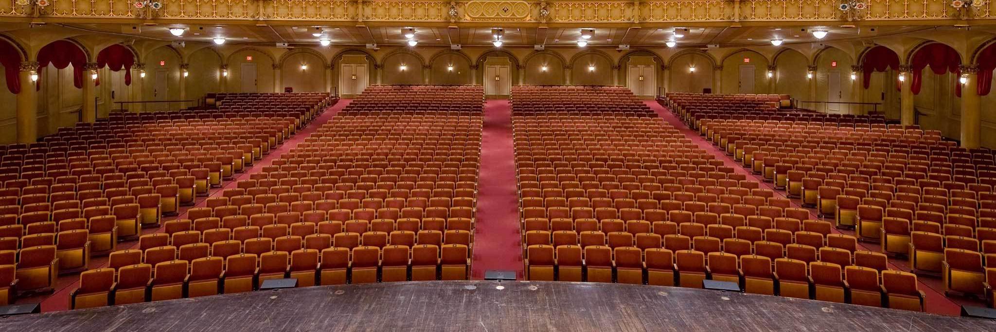 Kinder Farolfi banner