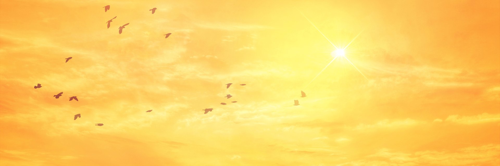 vedran_lav's profile banner image