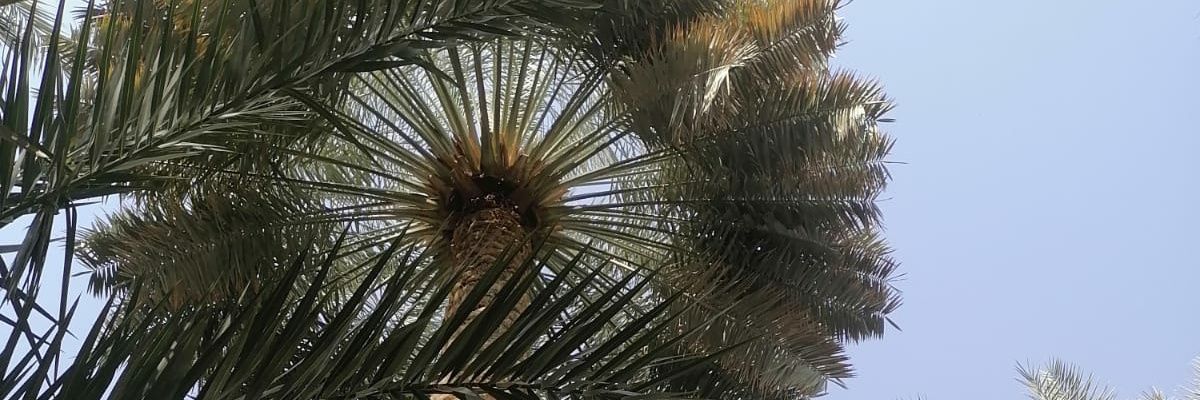 GreenKeepGreen1's profile banner image
