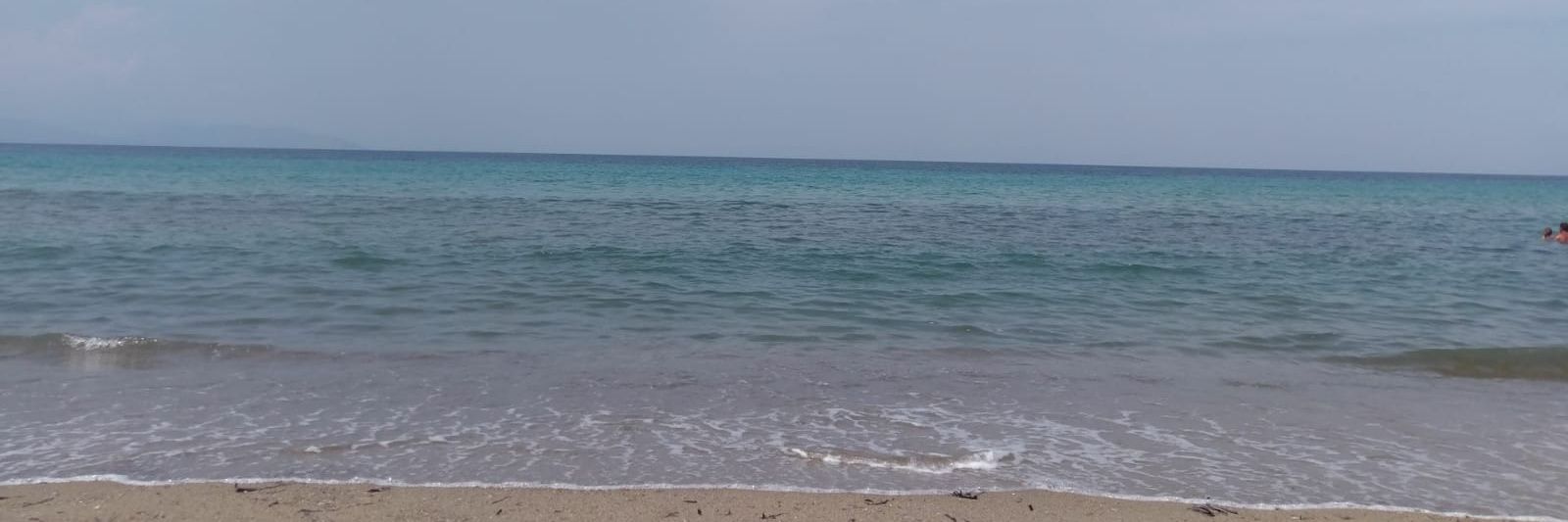 Yelda banner