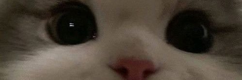 MUTIAMOUR's profile banner image