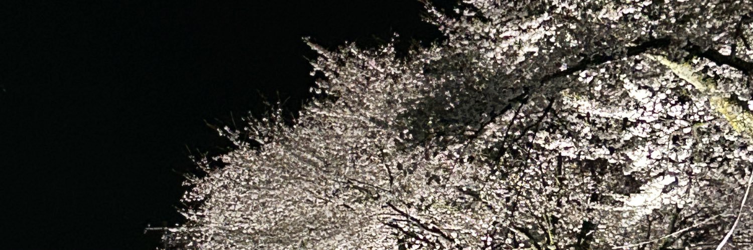 tripleface2's profile banner image