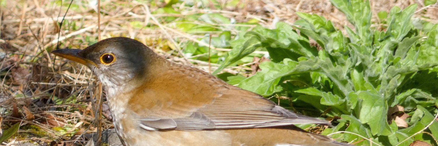 🚭ด้้้้็็็็็้้้้้็็็็็้้้้้้้้🔞龴⟿ﬨ֞ꆸ௵冫ם෴. ﷼ ℳ✧ ۞ banner