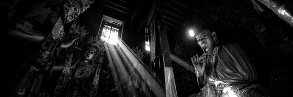 studybuddhism Profile Banner