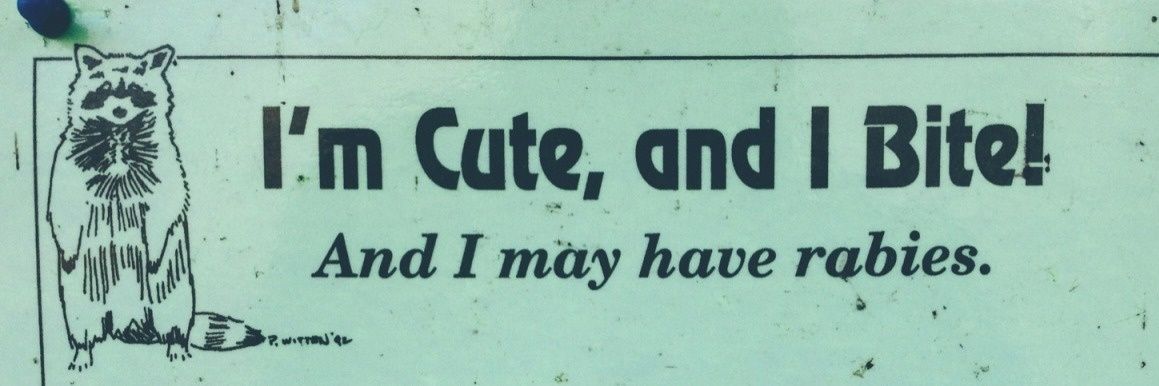 gravityjunior banner