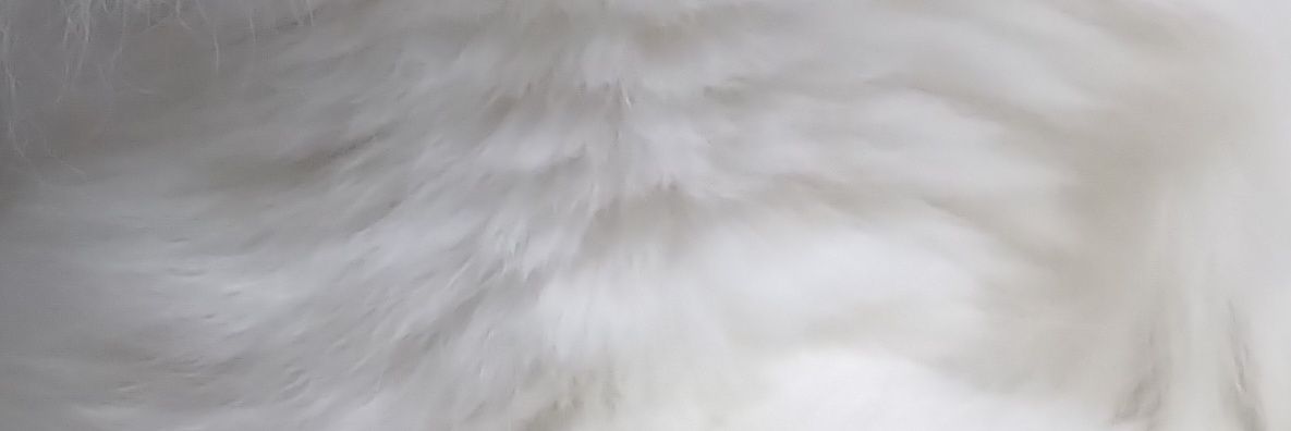 beryko's profile banner image