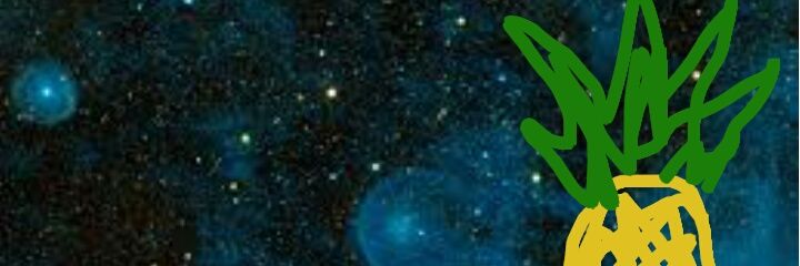 Pineapple Earth Society banner