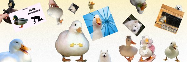validatedev Profile Banner