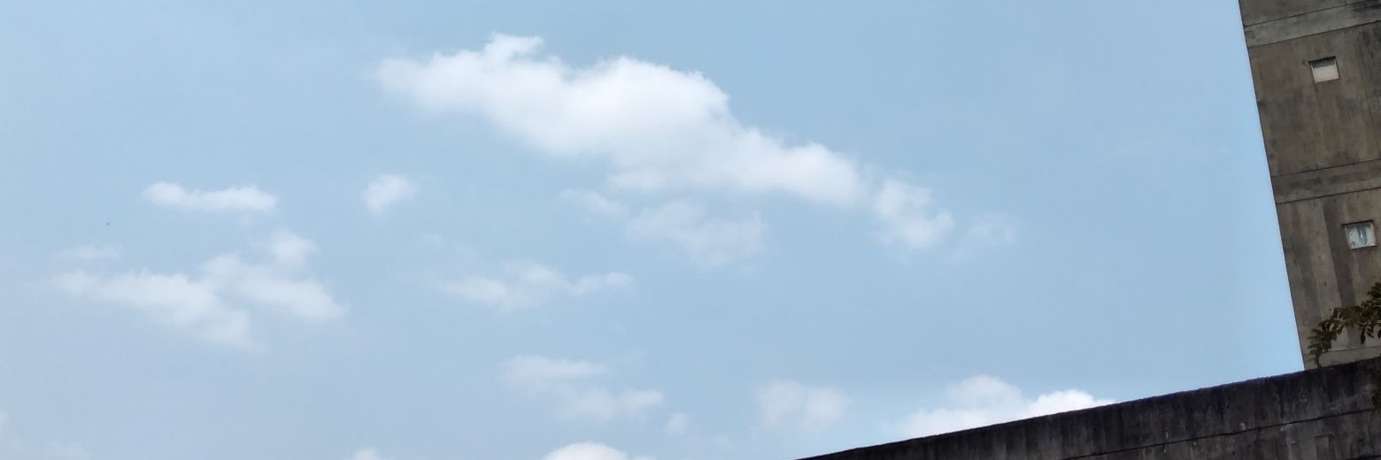 cherry shine 🍒 banner