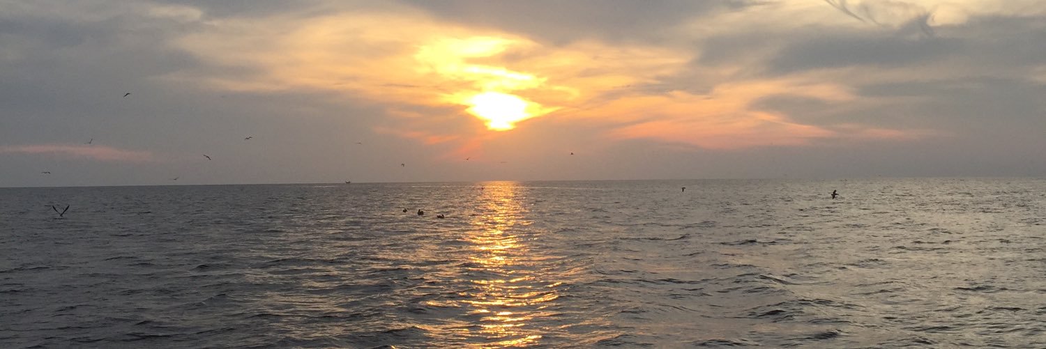 rockm's profile banner image