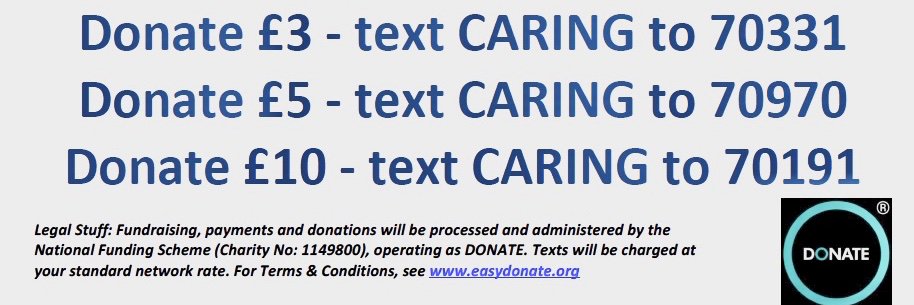 Totnes Caring banner