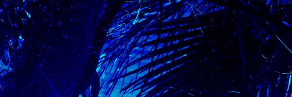 LochlinBlue Profile Banner