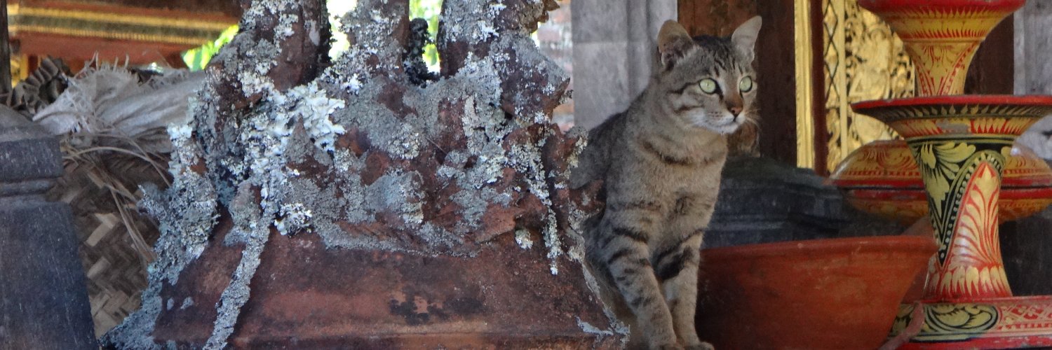 Droits & Devoirs banner