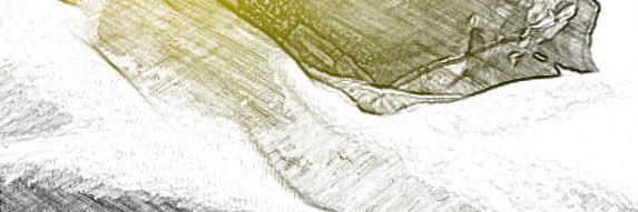 FlyingPiggie88's profile banner image