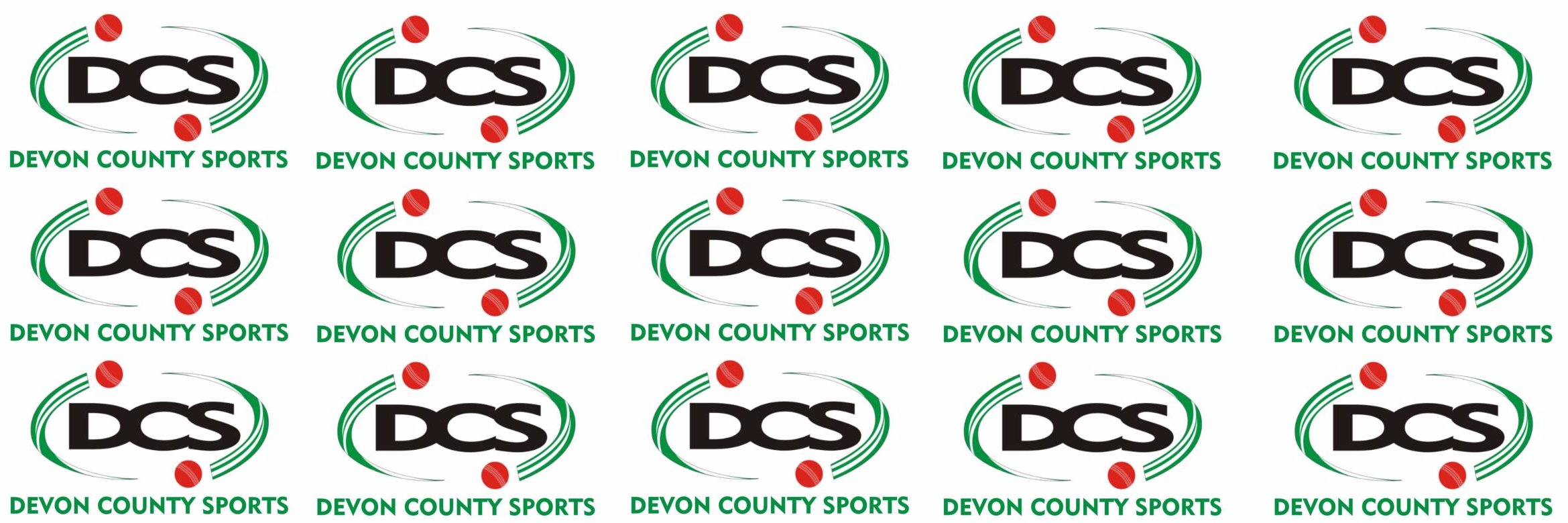 DevonCountySports banner