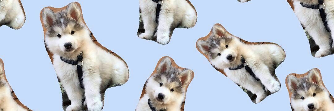 mika_munoz's profile banner image