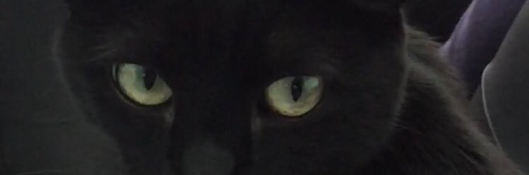 Edna Newhouse @ednanewhouse.bsky.social banner