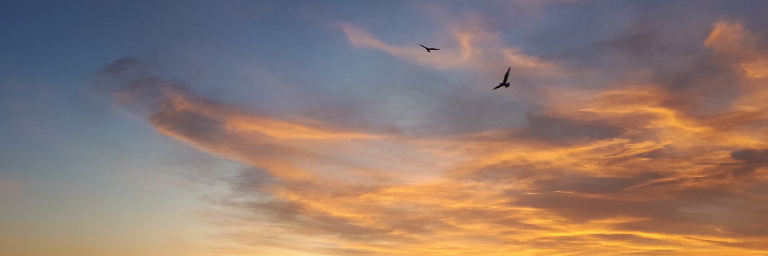 cicek ozmen banner