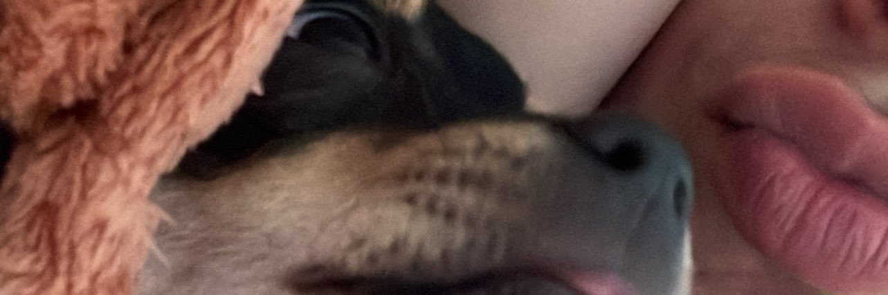 marcuxz_'s profile banner image