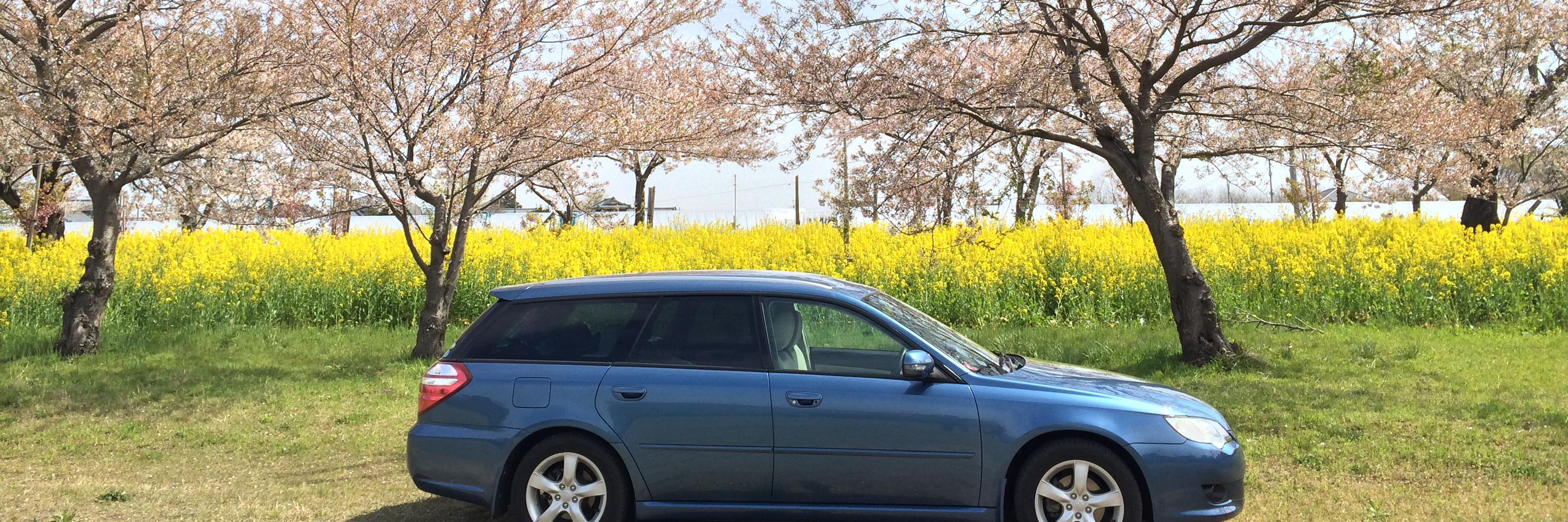 dawa535's profile banner image