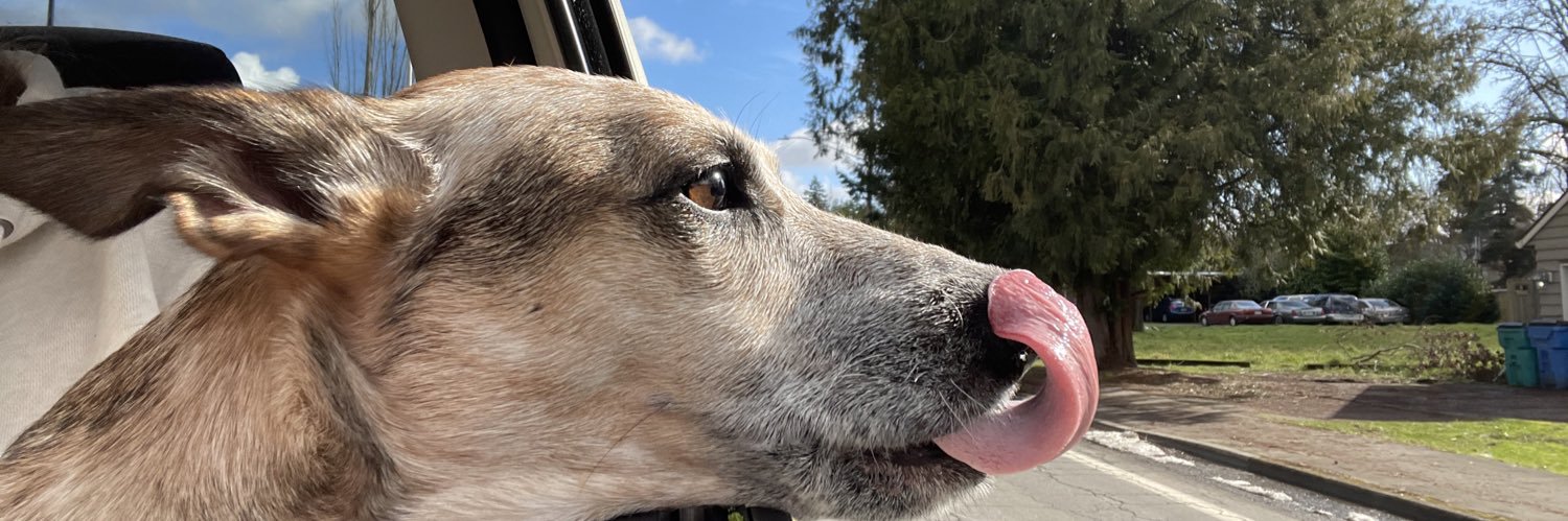 Lessssterr's profile banner image