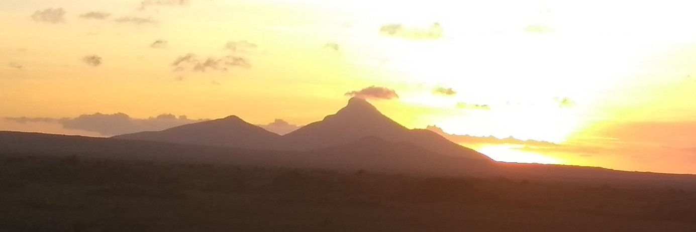 CarlosP_15's profile banner image