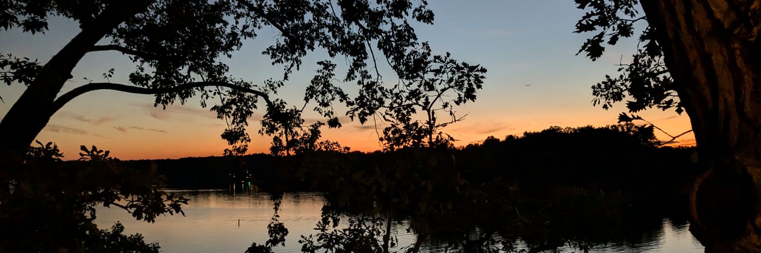 thebrewergame's profile banner image