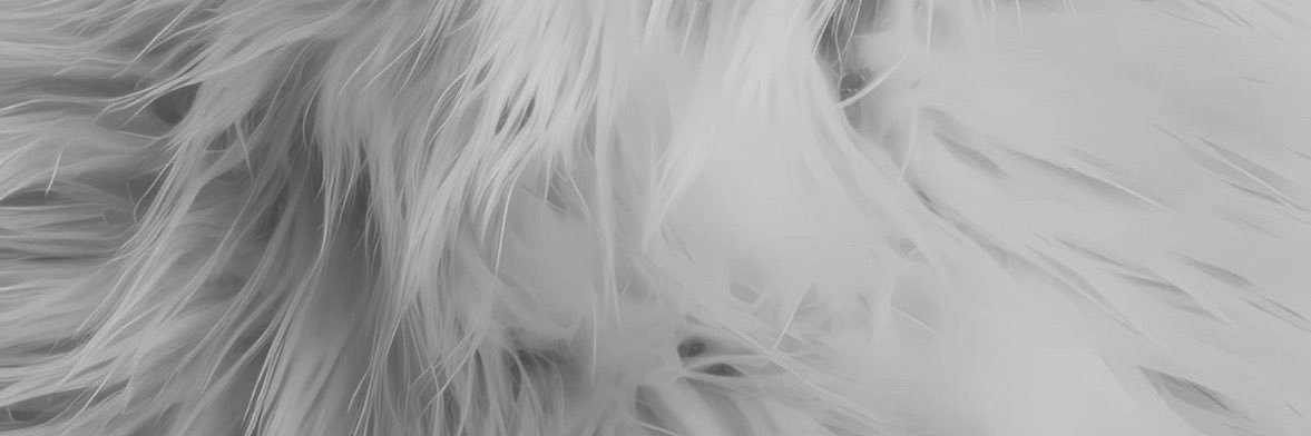 Toumi97's profile banner image
