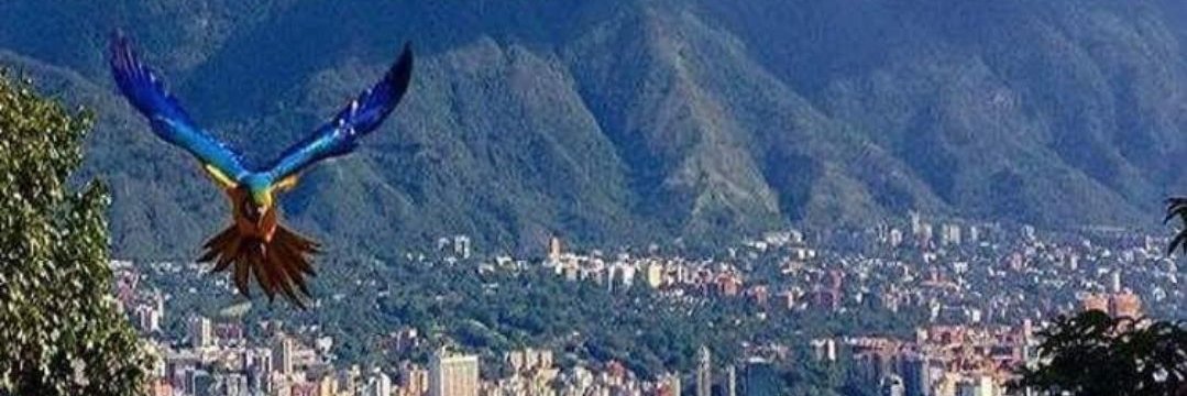 ildefonso_ifill's profile banner image