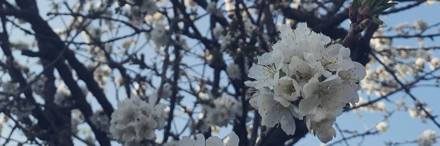 Juliiiiettee_'s profile banner image