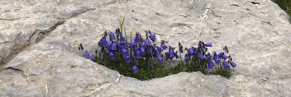 YvonneGilli Profile Banner