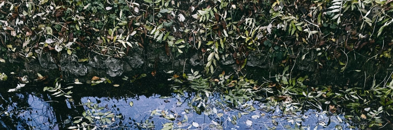 Carmel ☮︎ banner