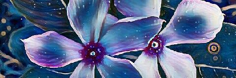 ibiaelizabeth's profile banner image