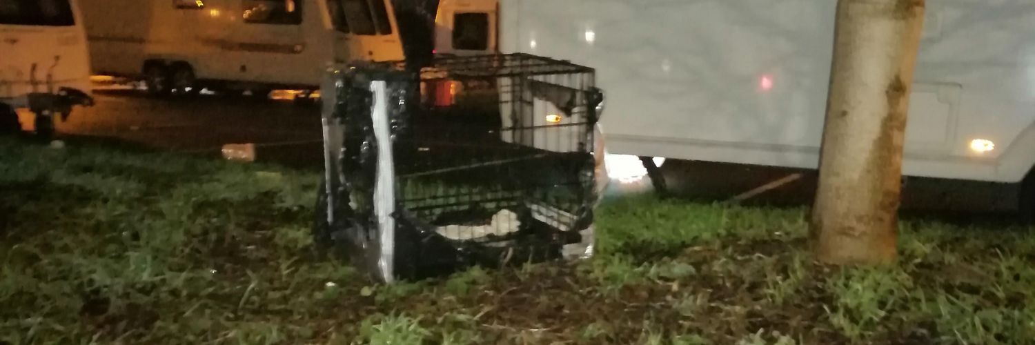 SAVE Warwick DOGS banner