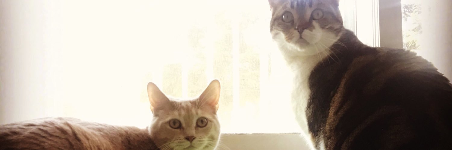 ひおきたけし banner