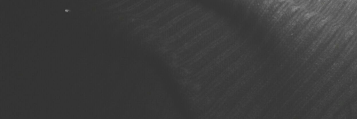 _AleAlva's profile banner image