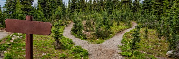 austinperlmd Profile Banner