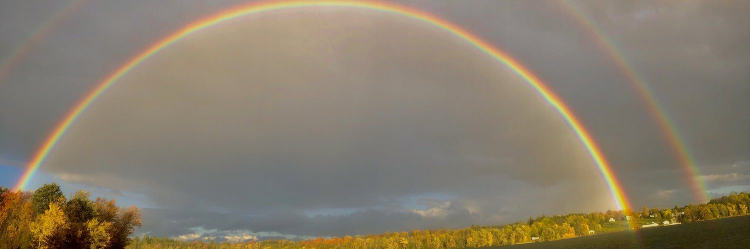 Anne-Marie Kee banner