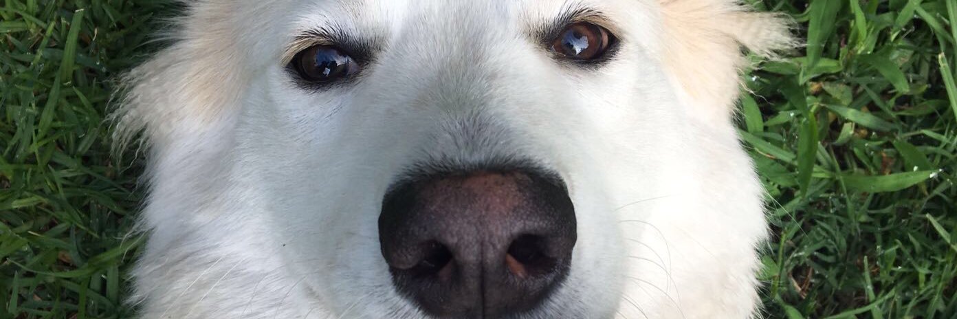 hblanco76's profile banner image