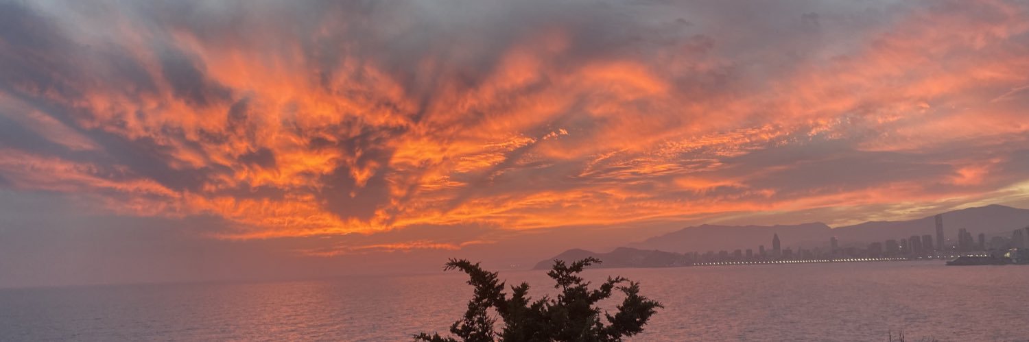 anaalien__'s profile banner image