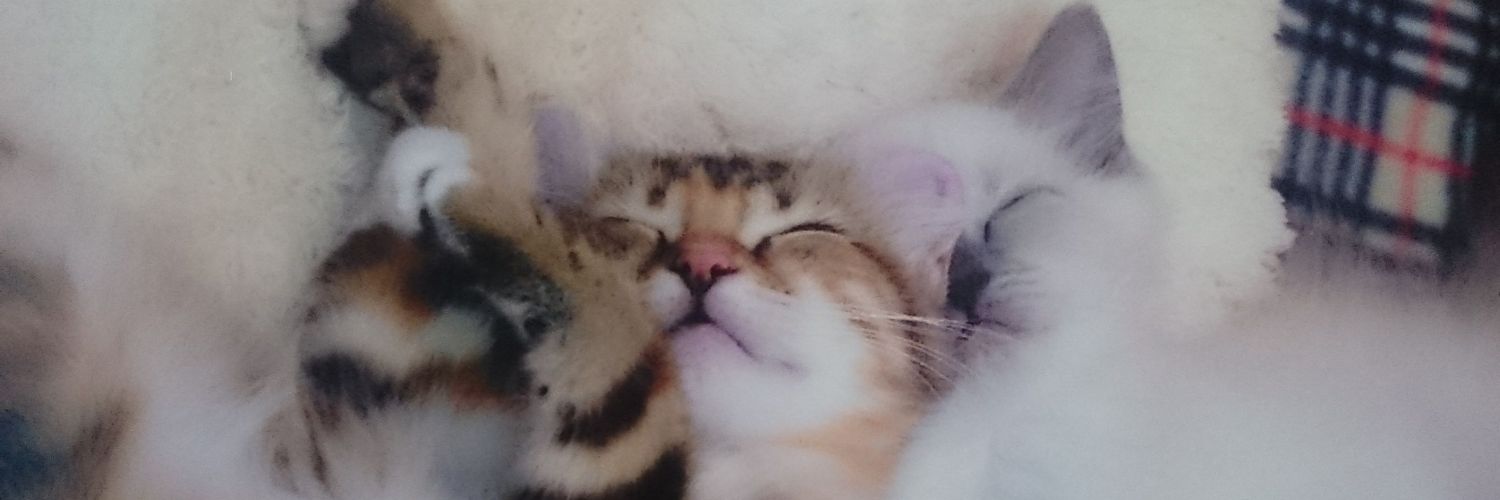 NEKO__DAISKI's profile banner image