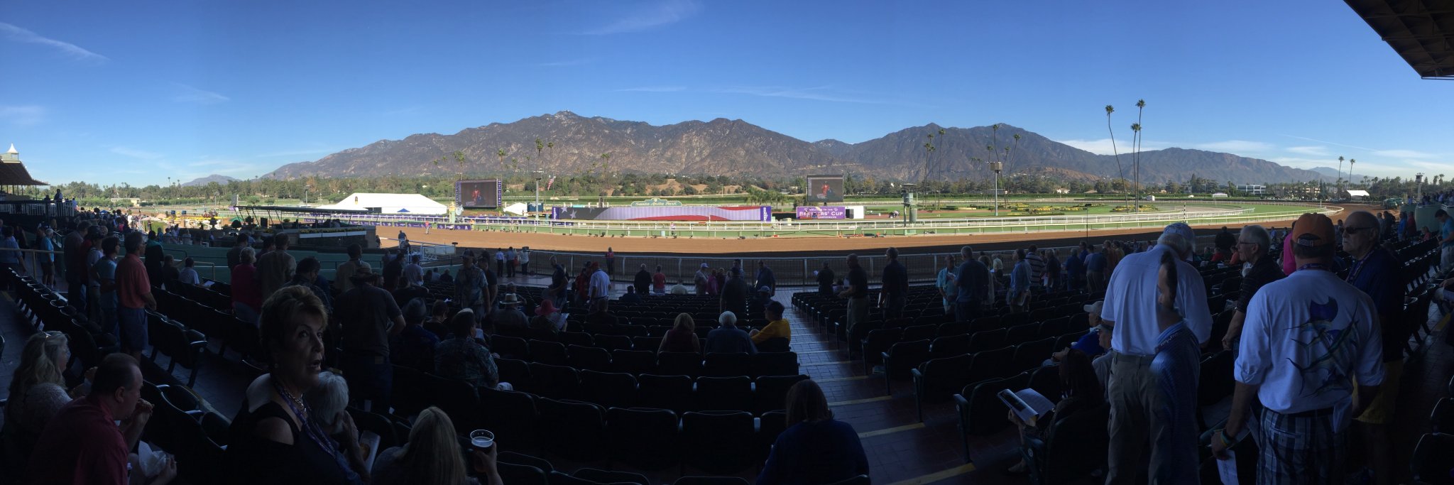 Mark Grantham banner