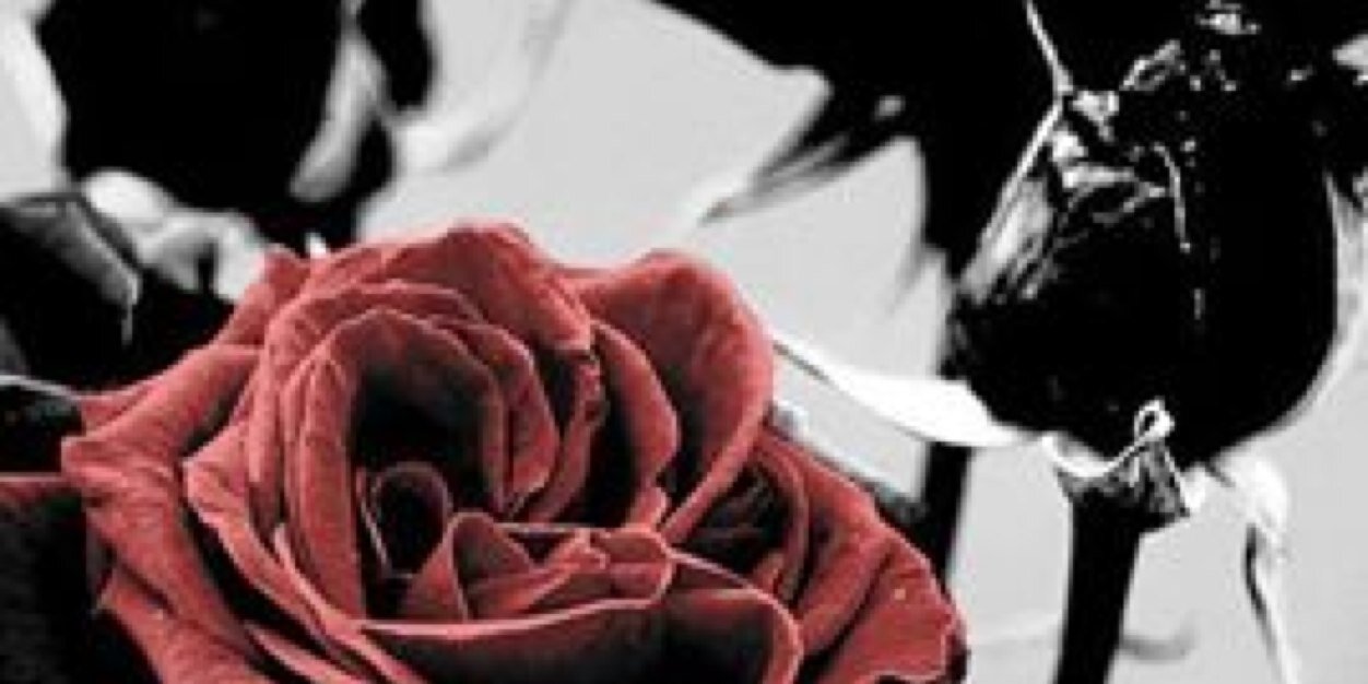 REmmolo07's profile banner image