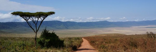 GutierMartinez Profile Banner