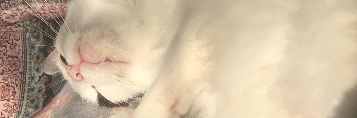 thiagohennig's profile banner image