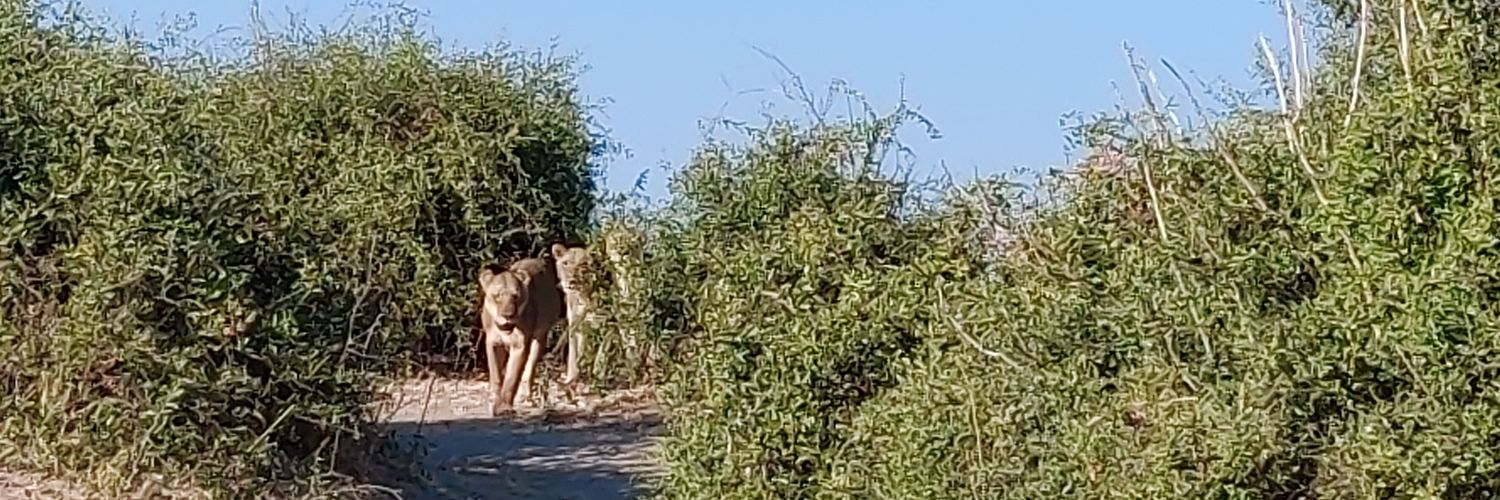 Ismael Camara banner